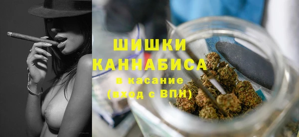 ПСИЛОЦИБИНОВЫЕ ГРИБЫ Киренск