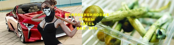 ПСИЛОЦИБИНОВЫЕ ГРИБЫ Киренск