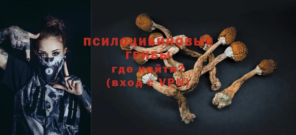 МДПВ Кинешма
