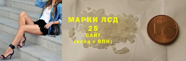 прущие грибы Козельск