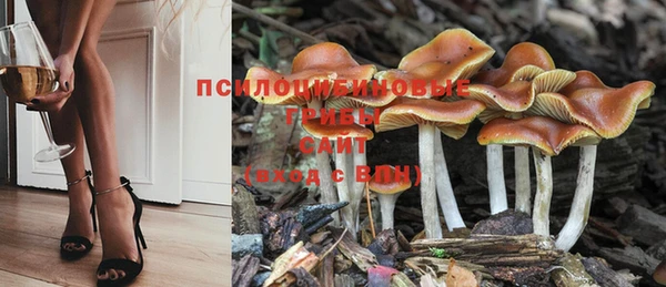 соль курить ск Киреевск