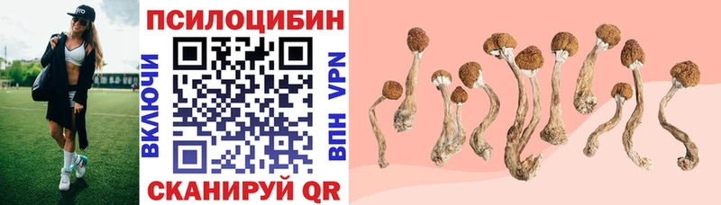 Псилоцибиновые грибы мицелий  Купить где  Озёры 